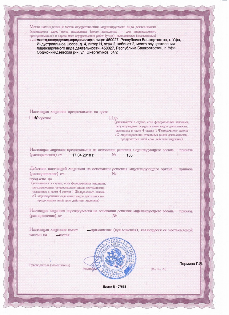Лицензия ООО Технодизель0002.jpg